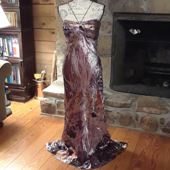 Cache Dresses & Skirts - Gorgeous Cache silk dress